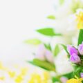 寝ずの番が行われる理由と近年での変化